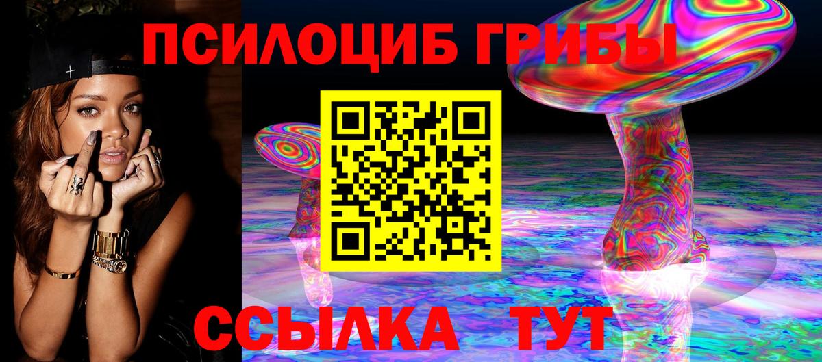 Чехов  магазин продажи наркотиков  Вход с VPN  Псилоцибиновые грибы мицелий 