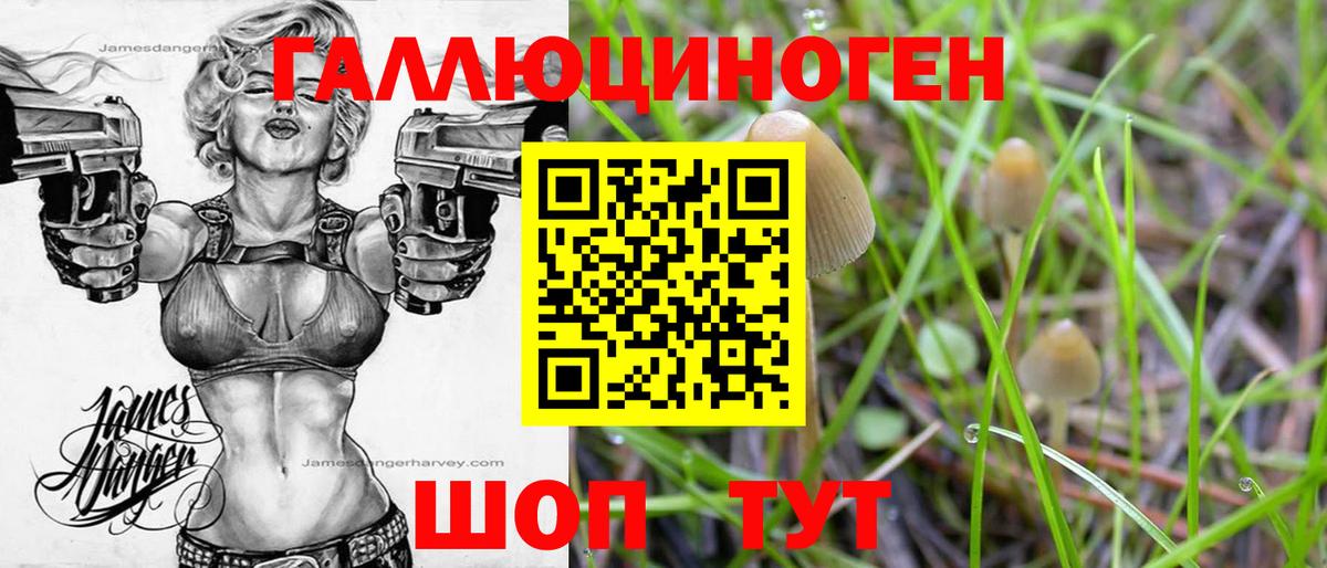 Псилоцибиновые грибы прущие грибы Чехов